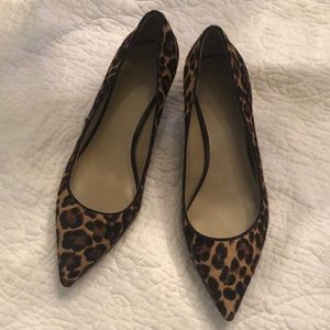Ann Taylor Animal Print Pumps, Size 8.5 🎉🎊